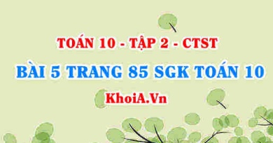Bài 5 trang 85 SGK Toán 10 tập 2 Chân trời sáng tạo